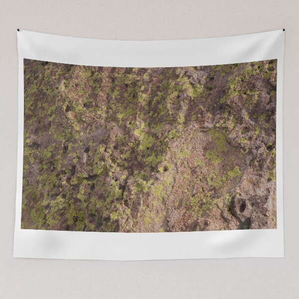 Item preview, Lichen and Rock designed and sold by WorldDesign.