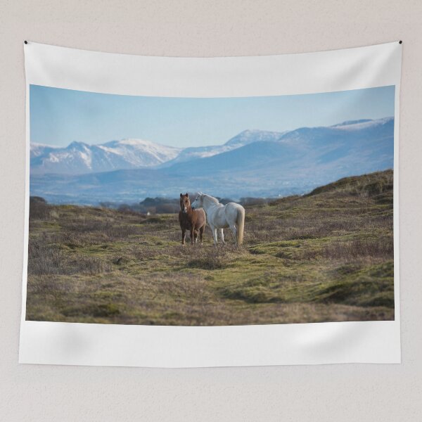 Item preview, Newborough Warren designed and sold by Paul Spear.