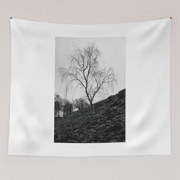 Item preview, Single silver Birch designed and sold by JacquiHall.