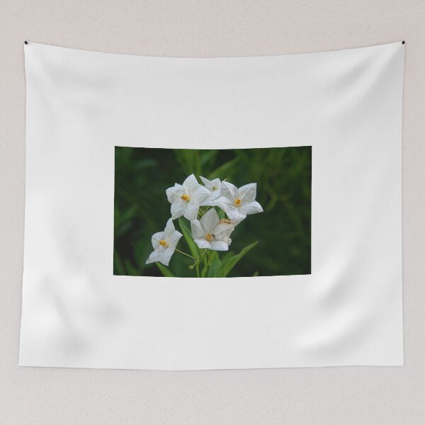 Item preview, Potato Vine designed and sold by ndarby1.