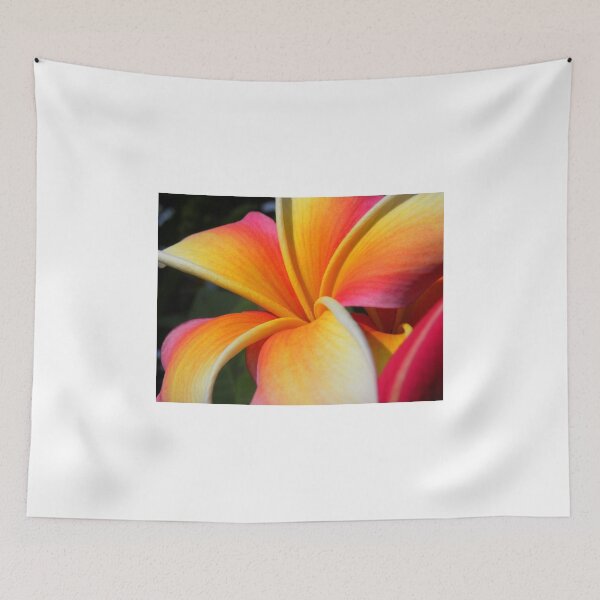 Item preview, Orange plumeria #4, Big Island, Hawaii designed and sold by JDY Studio Designs.