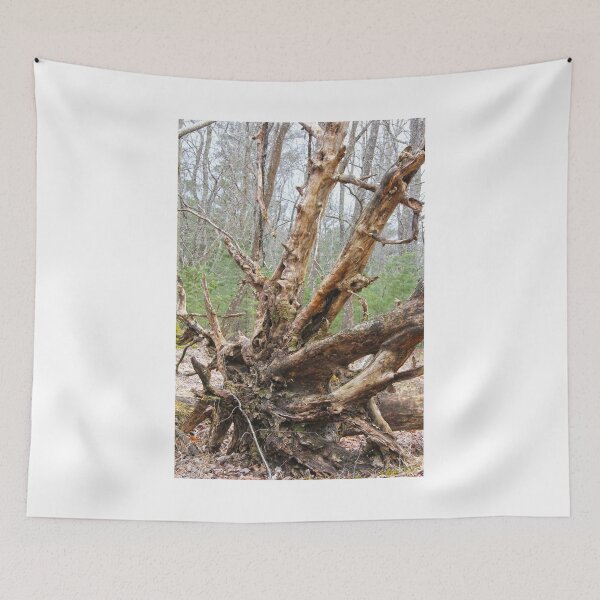 Item preview, Roots 2 designed and sold by lennieslights.