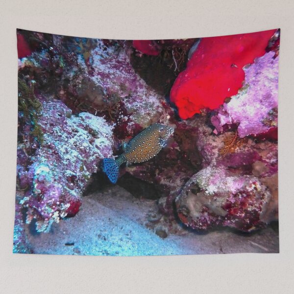 Item preview, Pesce scatola designed and sold by Rudolph29.