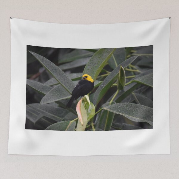 Item preview, National Aviary Pittsburgh Series - 26 designed and sold by sarahshanely.