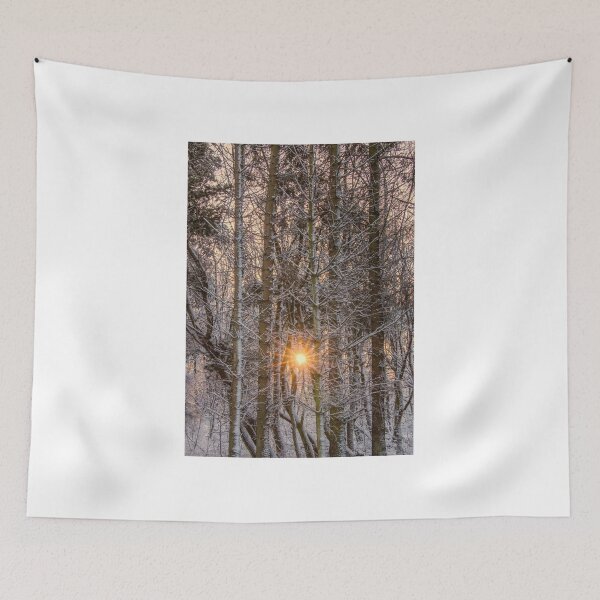 Item preview, Forest sunburst designed and sold by Derek Corner.