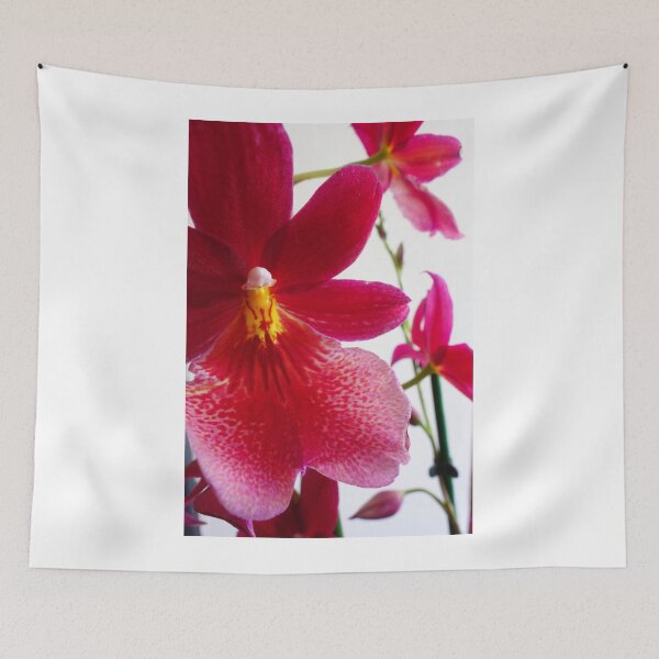 Item preview, Orquídea roja designed and sold by pluspixels.