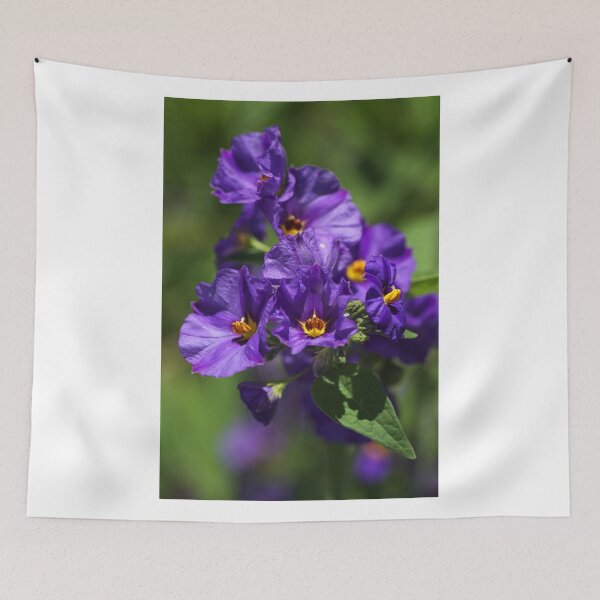 Item preview, Potato Vine designed and sold by Joy Watson - Natural Light Photography .