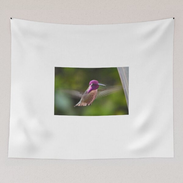 Item preview, HUMMINGBIRD COSTA IN FLIGHT designed and sold by JAYMILO.
