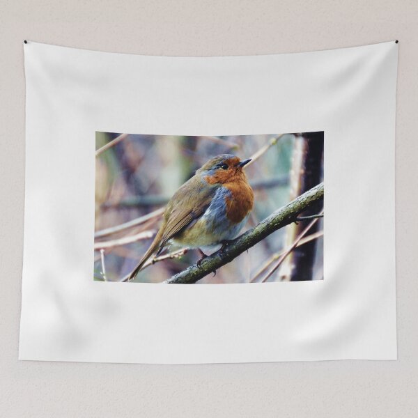 Item preview, Painted Robin...... designed and sold by lynn carter.