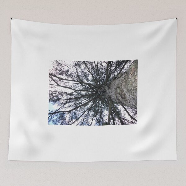 Item preview, Maine Blue Spruce designed and sold by AuntyReni.