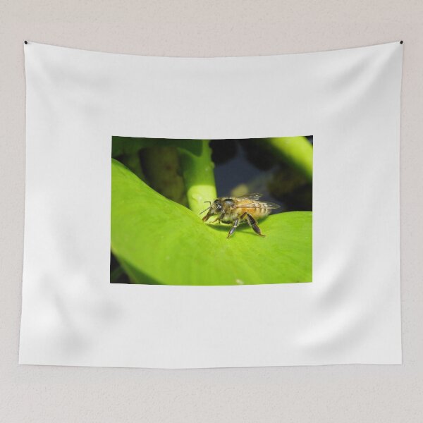 Item preview, Portfolio image, worker bee drinking water from a leaf. designed and sold by JDY Studio Designs.