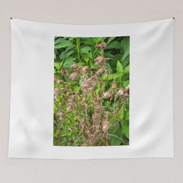 Item preview, Dried Pods designed and sold by lennieslights.