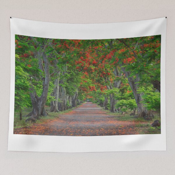 Item preview, Flamboyant Alleay designed and sold by Michael Breitung.