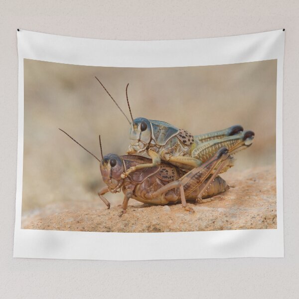 Item preview, Grasshopper Romance designed and sold by WorldDesign.