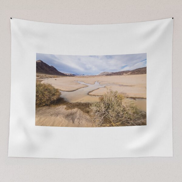 Item preview, Water Tree in Death Valley Racetrack designed and sold by Robert Kelch, M.D..