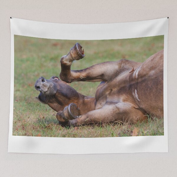 Item preview, Funny Face designed and sold by WorldDesign.