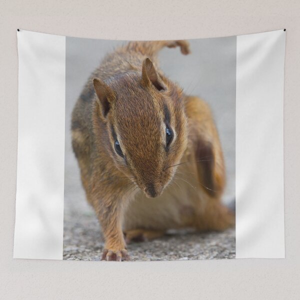 Item preview, Ninja Chipmunk designed and sold by WorldDesign.