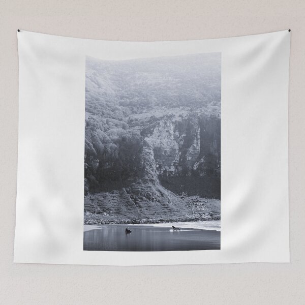 Item preview, NEW ZEALAND:TWO SEALS PLAYING designed and sold by philaphoto.