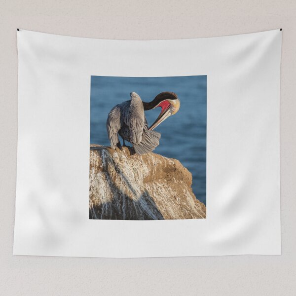 Item preview, Brown Pelican In Mating Season designed and sold by CarolM.