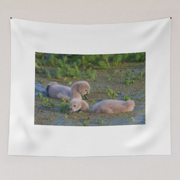 Item preview, Cuteness Overload designed and sold by byronbackyard.