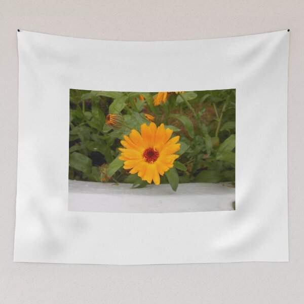 Item preview, Cute Calendula designed and sold by Kathryn Jones.