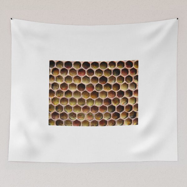 Item preview, What do honeybees do? Page 14 "Pollen stored by the honeybees in the honeycomb." designed and sold by JDY Studio Designs.