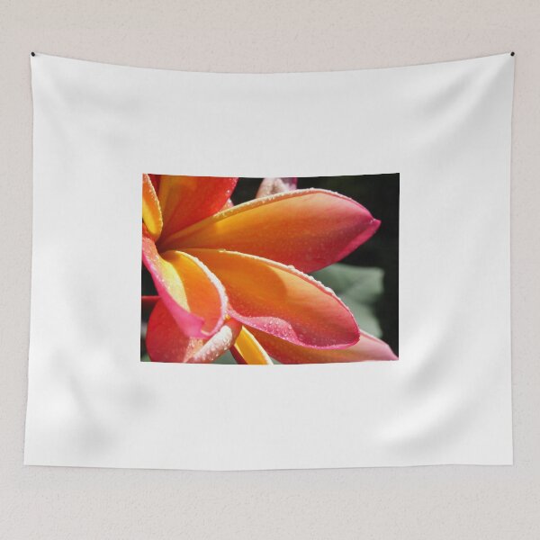 Item preview, Orange plumeria #1, Big Island of Hawaii designed and sold by JDY Studio Designs.