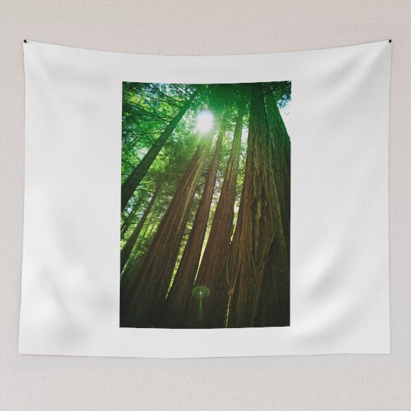 Item preview, Redwood Trees designed and sold by savapavo.