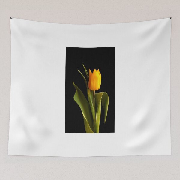 Item preview, 	Single yellow tulip against black background designed and sold by KerstinB.
