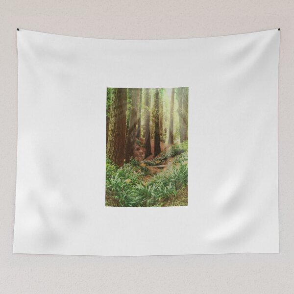 Item preview, Sun Beams shining Thru the Redwood Trees designed and sold by savapavo.