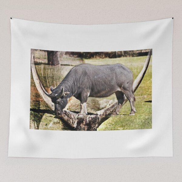 Item preview, Horn Of A Buffallo designed and sold by miroslava.
