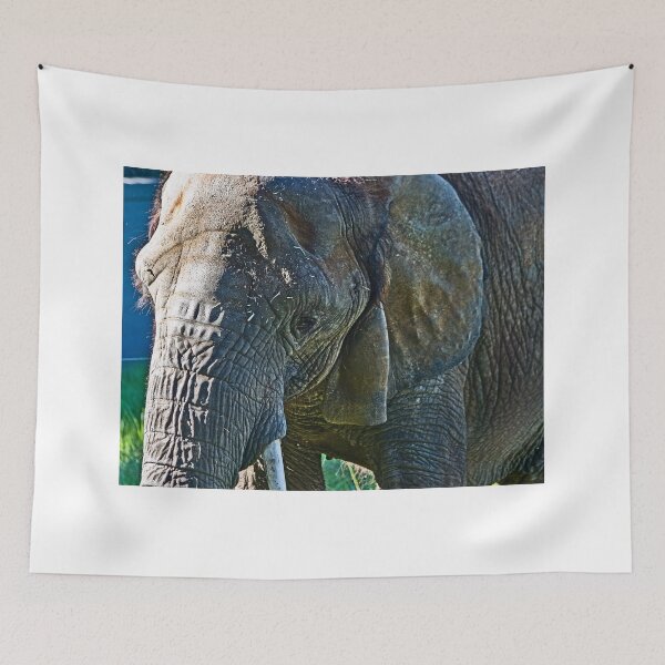 Item preview, Cuddles In Search designed and sold by miroslava.