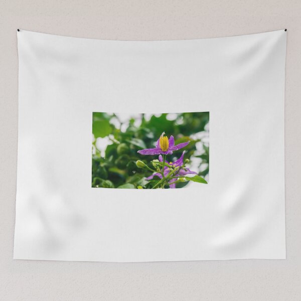 Item preview, Solanum trilobatum (தூதுவளை) designed and sold by lm31.