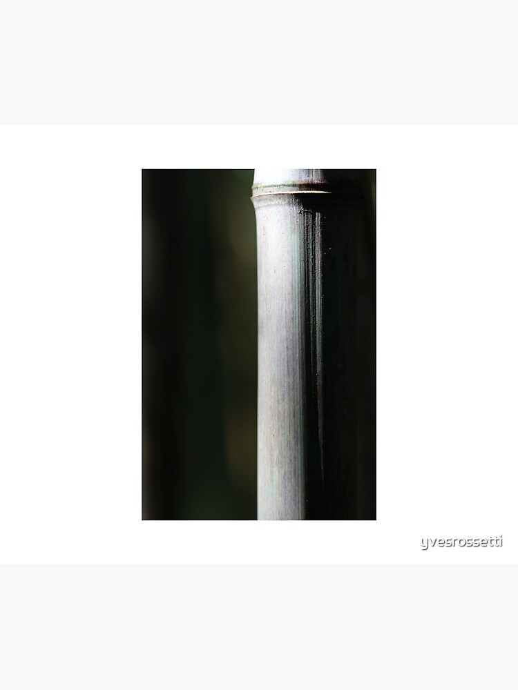 purely vertical by yvesrossetti
