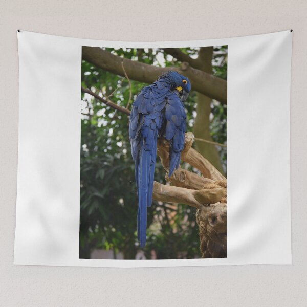 Item preview, National Aviary Pittsburgh Series - 18 designed and sold by sarahshanely.