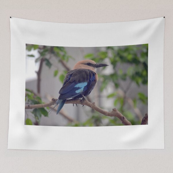 Item preview, National Aviary Pittsburgh Series - 17 designed and sold by sarahshanely.