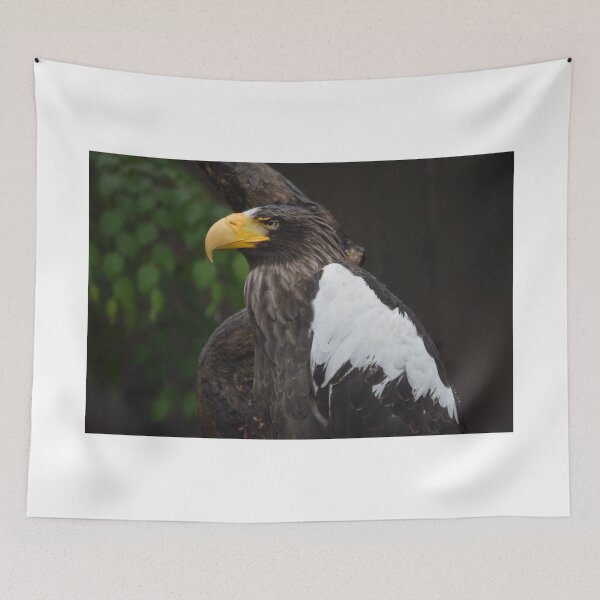 Item preview, National Aviary Pittsburgh Series - 24 designed and sold by sarahshanely.