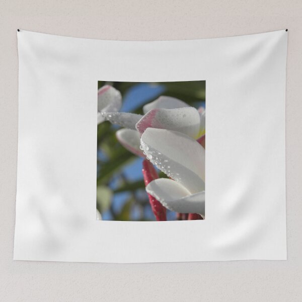 Item preview, White Plumeria #1, Big Island, Hawaii designed and sold by JDY Studio Designs.