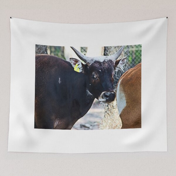 Item preview, Court Out designed and sold by miroslava.