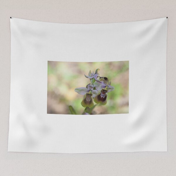 Item preview, Ophrys tenthredinifera designed and sold by Antonio Pizarro Mendez.