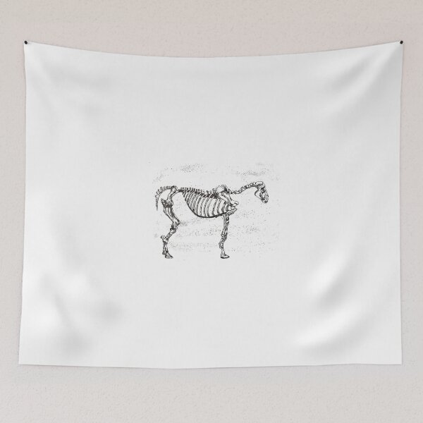 Item preview, Horse Skeleton2 0 designed and sold by JulieHall20.