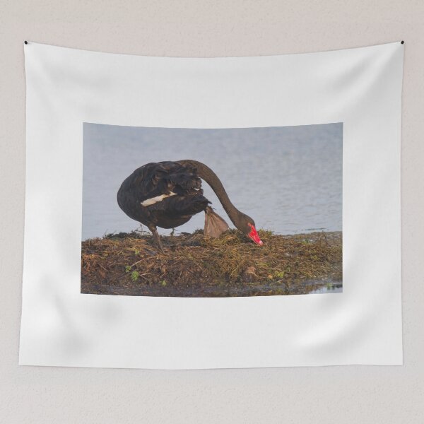 Item preview, Nest Repairs designed and sold by byronbackyard.