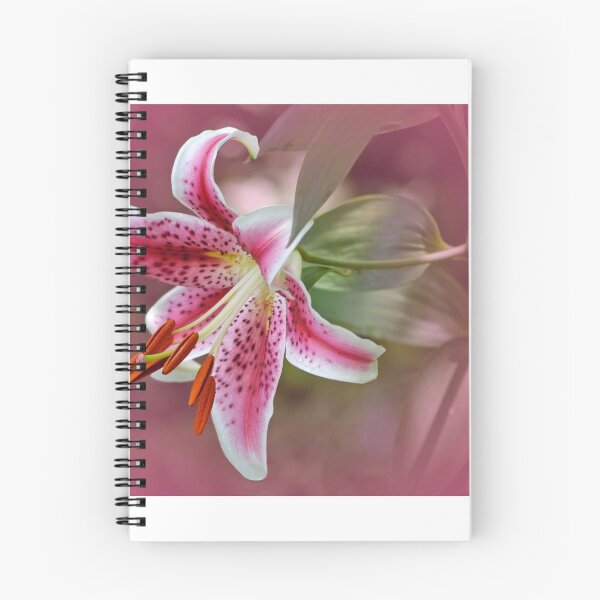 Item preview, Stargazer lily designed and sold by Annmarie *.