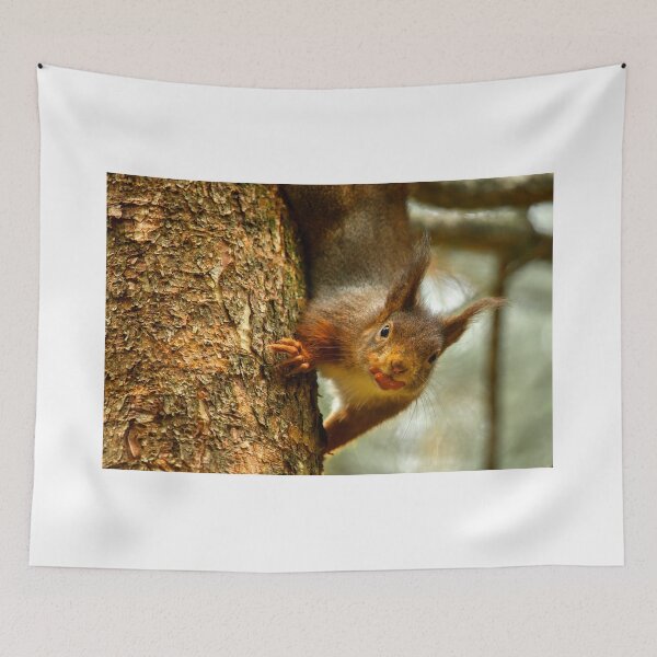 Item preview, Cheeky Red Squirrel designed and sold by Martin Lawrence.