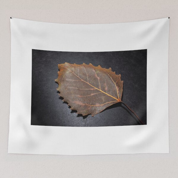 Item preview, Leaf designed and sold by CSSphotos.