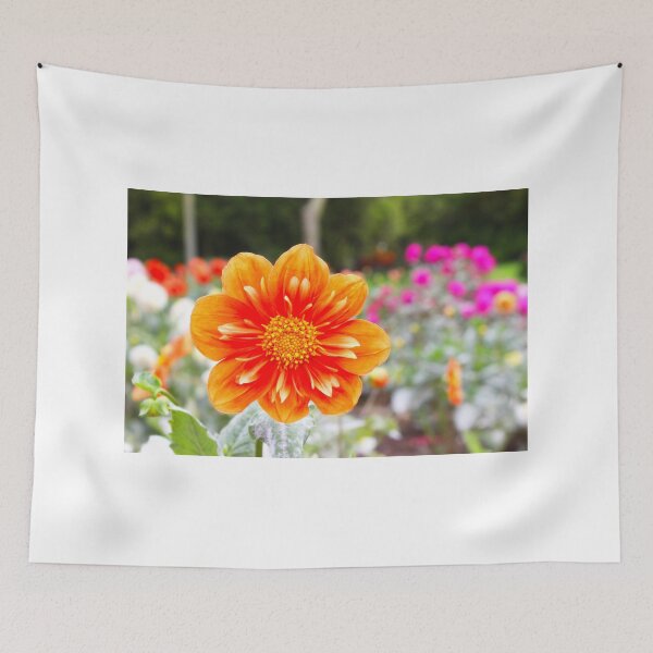 Item preview, Orange Splash designed and sold by savapavo.