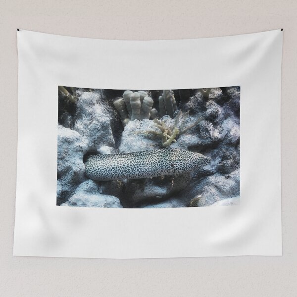 Item preview, Eel designed and sold by savapavo.