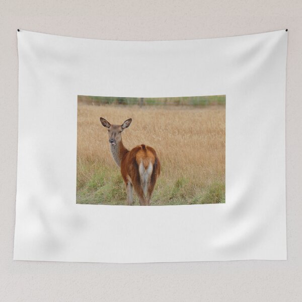 Item preview, Doe A Deer - NZ designed and sold by AndreaEL.