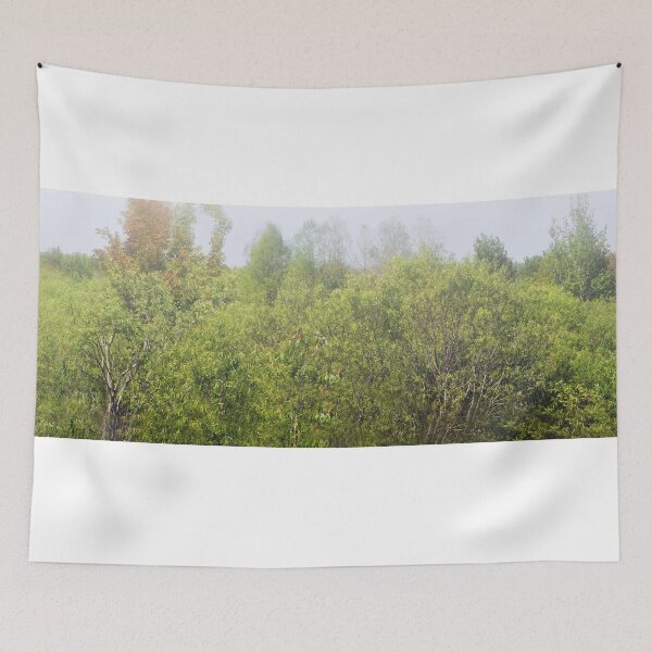 Item preview, Corkscrew Marsh  designed and sold by John  Kapusta.