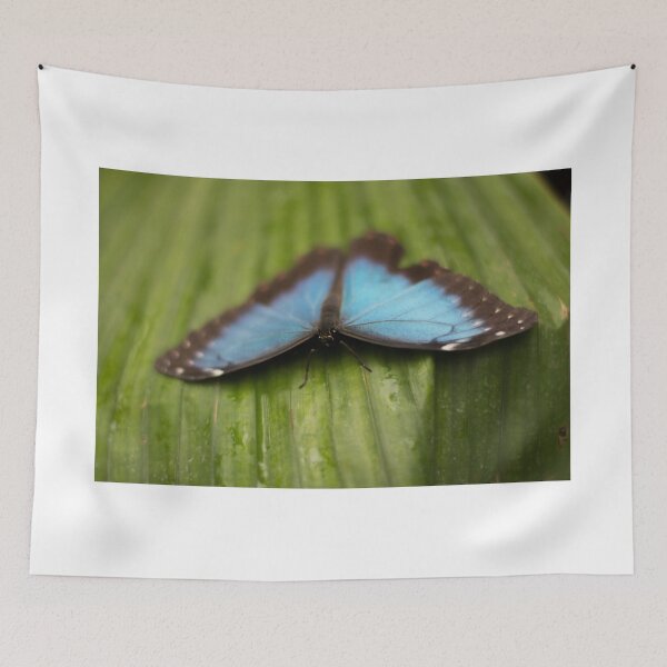 Item preview, butterfly designed and sold by artbysteph.